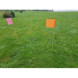 Piquets drapeaux de signalisation biodégradables (lot de 50)