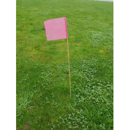 Piquets drapeaux de signalisation biodégradables (lot de 50)