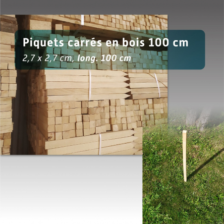 Lepont Lot de 50 Piquets bois peint 100 cm 