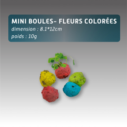 Mini boules- fleurs colorées